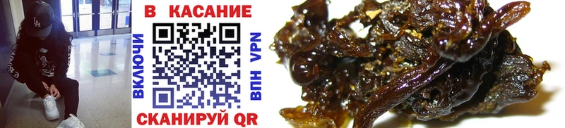Какие есть наркотики Электроугли АМФЕТАМИН  kraken ONION  МАРИХУАНА  Галлюциногенные грибы  Бутират  ГАШИШ  COCAIN  A PVP 